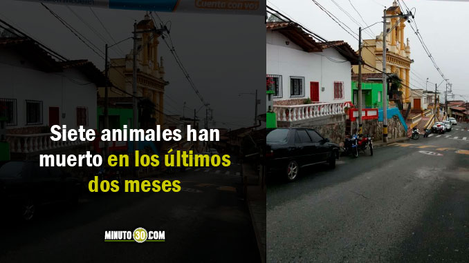 palmitas_corregimiento