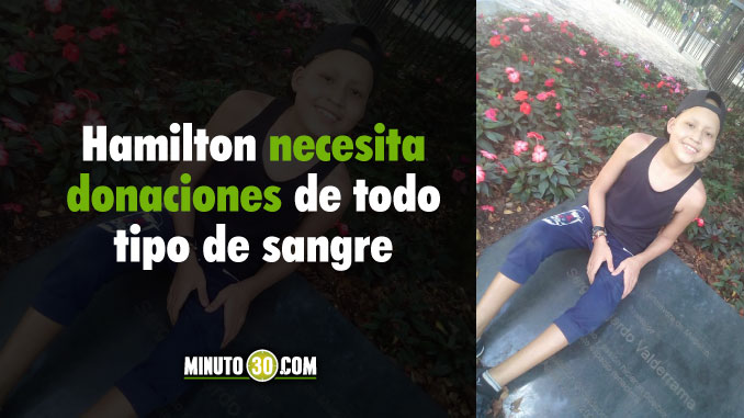 hamilton_donaciones_