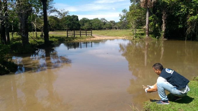 especies_cormacarena