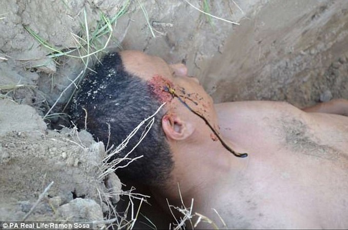 ramon_maria_fosa_comun