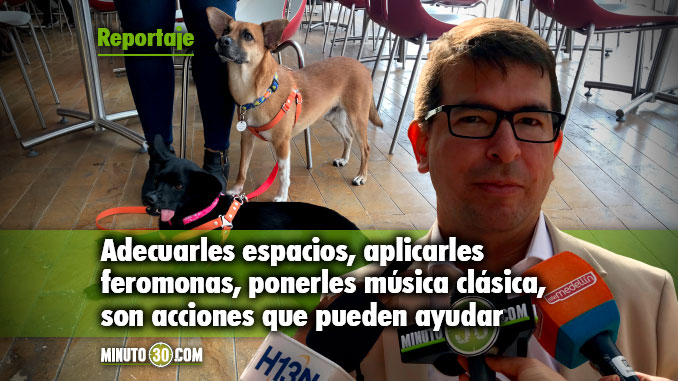 Sergio Escobar - Secretario de Medio Ambiente. Foto/Minuto30