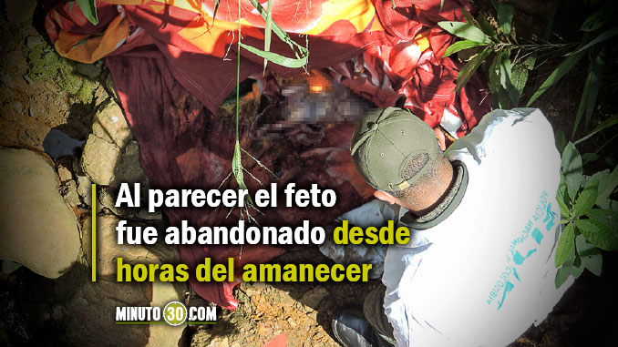 Feto_Abandonado_Moravia