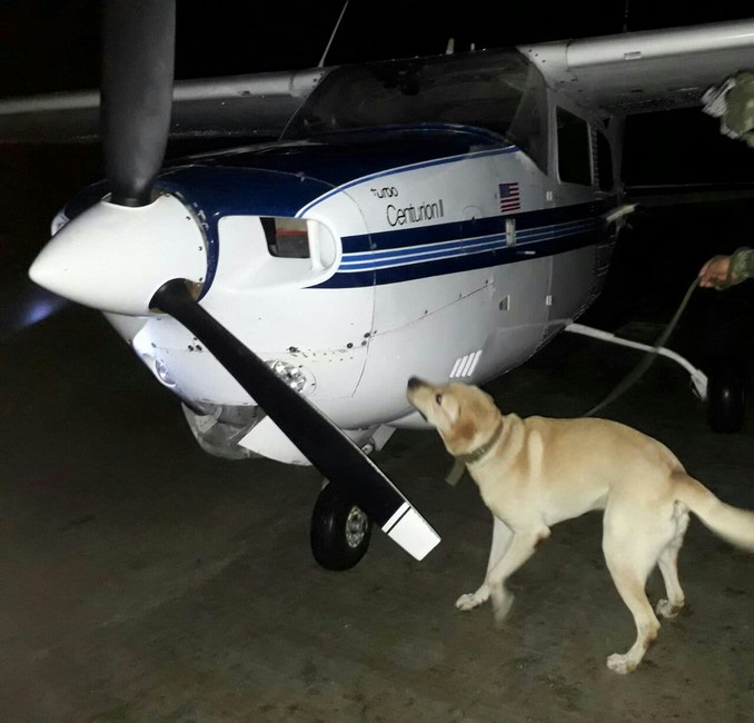 Fuerza Aérea neutralizó aeronave ilegal en Murindó