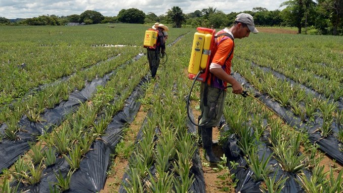 Estados Unidos cree que el sector agrícola será clave para consolidar la paz en Colombia