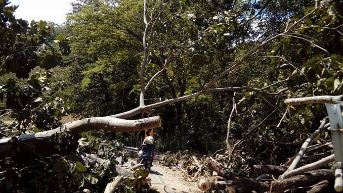 Árboles derribados e intentos de saqueos a tractomulas durante las protestas en el Catatumbo
