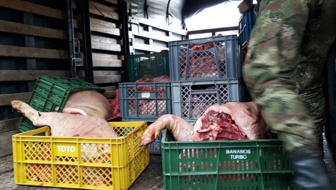 Más de 34 toneladas de carne en mal estado incautaron las autoridades en Donmatías y Santa Rosa de Osos