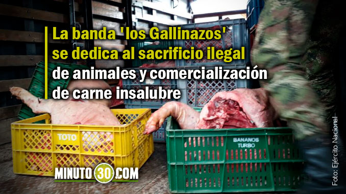 Más de 34 toneladas de carne en mal estado incautaron las autoridades en Donmatías y Santa Rosa de Osos