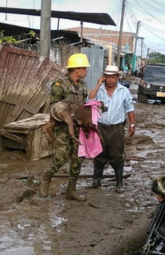 Ejército adelanta labores de evacuación, remoción de escombros y reubicación de afectados en Corinto