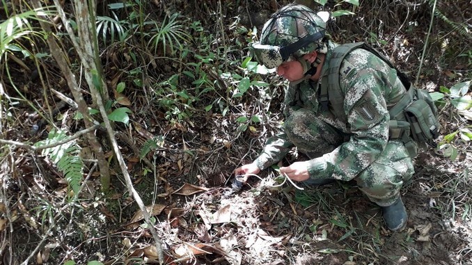 Ejército neutralizó dos explosivos en zona rural del Tolima