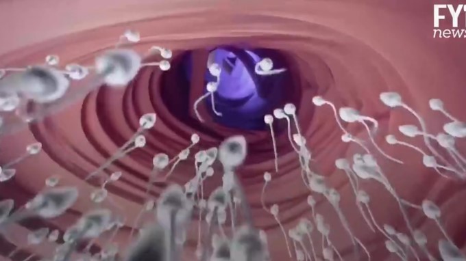 EN VIDEO: A dormir 8 horas diarias… tus espermatozoides te lo agradecerán