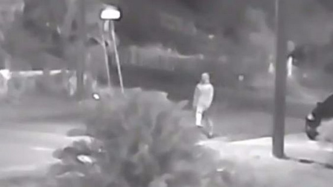 tampa-seminole-heights-asesino_serie