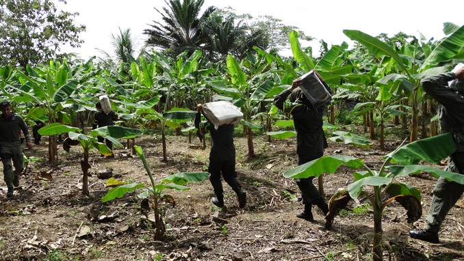 Así fue el decomiso más grande de cocaína al 'Clan del Golfo' en el Urabá antioqueño