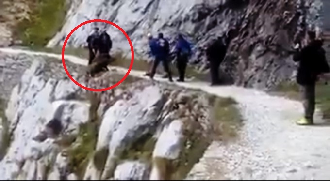 Captura tomada de Twitter: PartidoPACMA