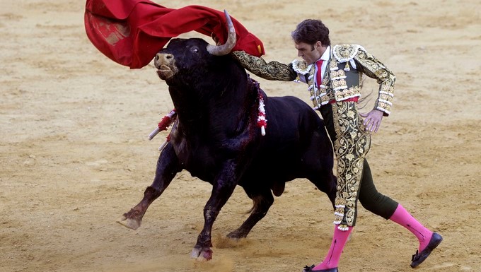 jose tomas