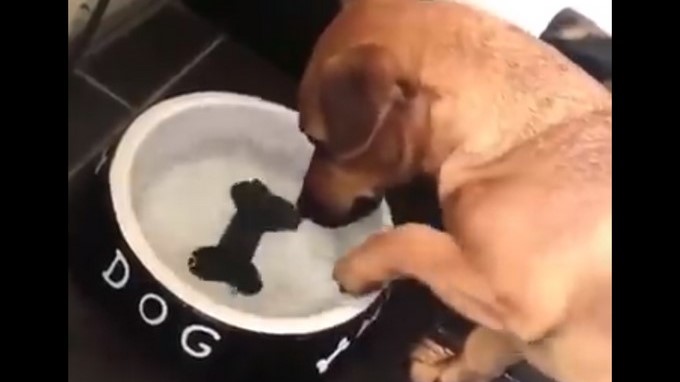 Captura tomada de Twitter: @marley_ok