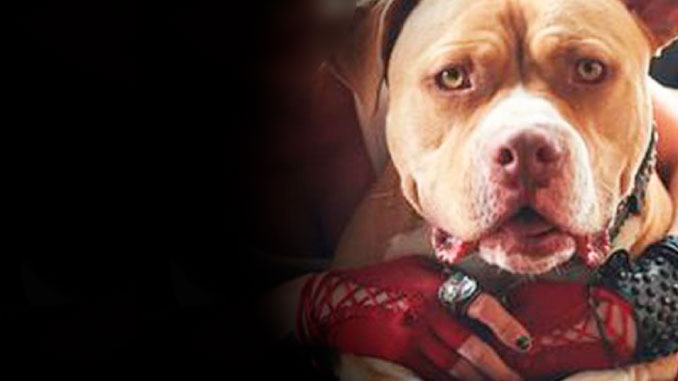 Tenía sexo con su perro y para colmo obligaba a sus hijos a ver el acto