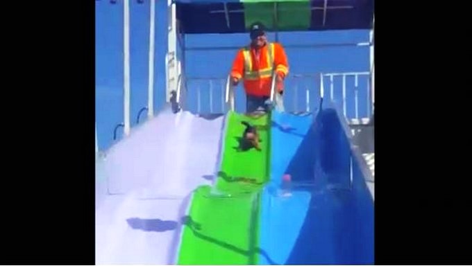 Captura tomada de TwitteR: @SSantiagosegura