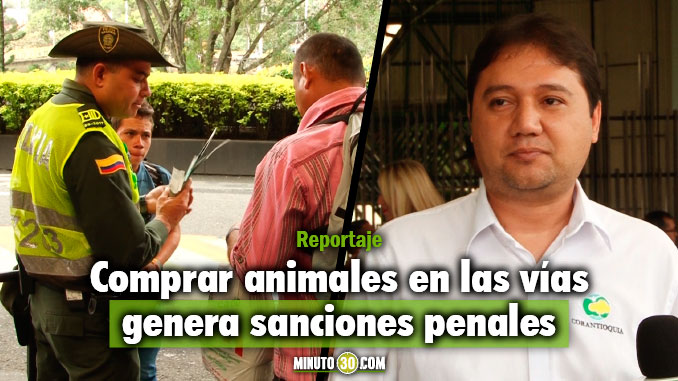 Alejandro González Valencia - Director General Corantioquia . Foto/Minuto30