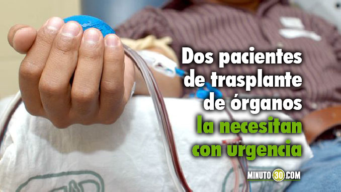 donar-sangre