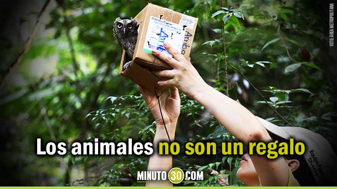 El-mejor-regalo-esta-navidad-para-los-animales-silvestres-es-dejarlos-en-su-habitat