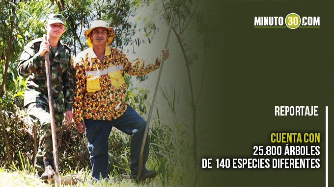 Foto/Alcaldía de Medellín