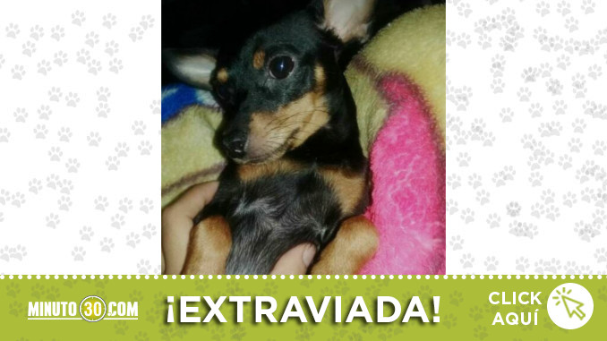 princesa