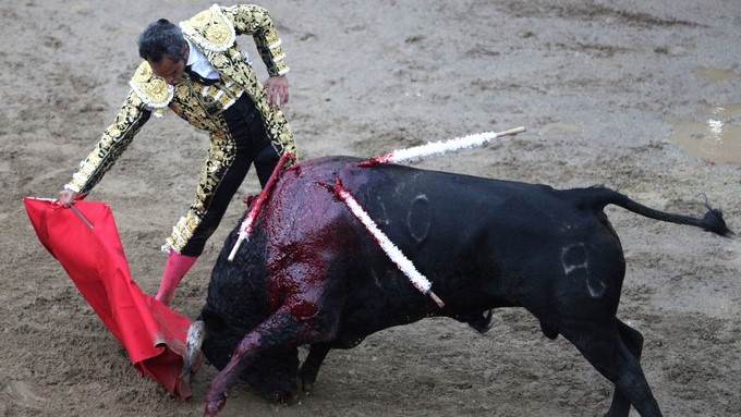 En ceros, quinta de abono en Cañaveralejo