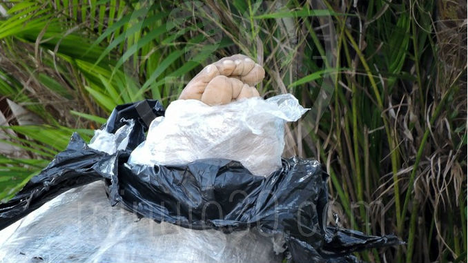 Cuerpo_Embolsado_Belen