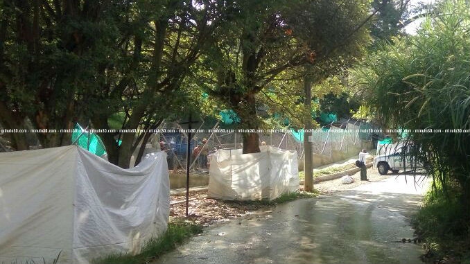 Embolsado_Copacabana