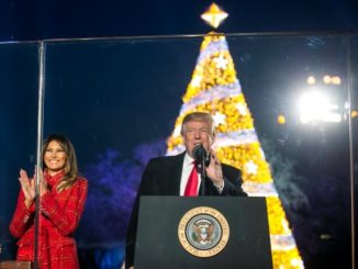 FOTOS Y VIDEO: Trump inaugura el árbol nacional de Navidad 1 NAVIDAD HOME