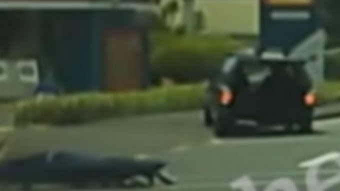 EN VIDEO: Se cayó un “cadáver” de un vehículo fúnebre, el maletero estaba abierto