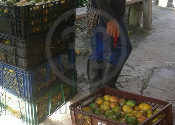 Habitantes de Abejorral no han podido sacar los alimentos por daños caída de banca