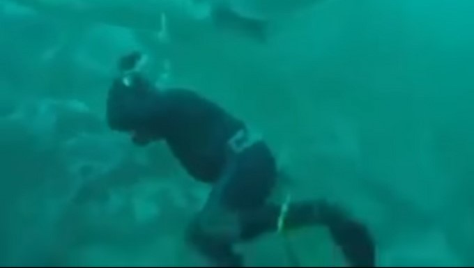 Captura tomada de Youtube: CoastfishTV