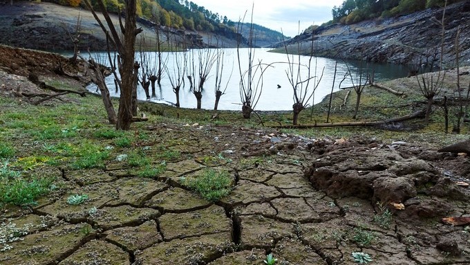 Expertos aseguran que limitar el calentamiento global a 1,5ºC requerirá cambios sin precedentes en todos los aspectos de la sociedad