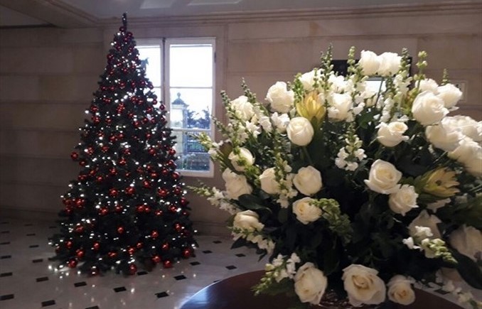 alumbrado navideño de la Casa de Nariño