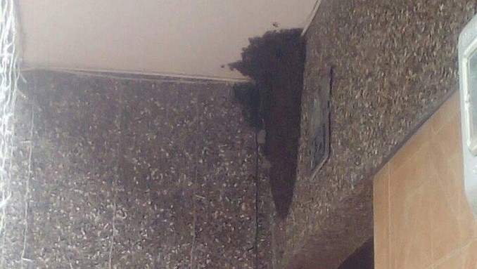 panal-abejas-castilla-Copiar