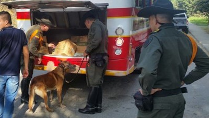 FOTOS: Las autoridades continúan los golpes en contra de la pólvora 1 polvora1