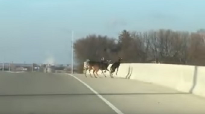 Captura tomada de Youtube: DaniPhan