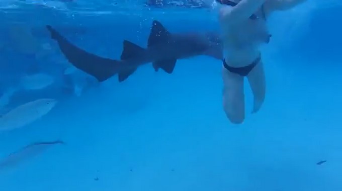 Captura tomada de Youtube: Khoi Dang