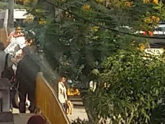 Asesinaron a un joven en Villa Sofía, al parecer, sería menor de edad 1 villa sofia