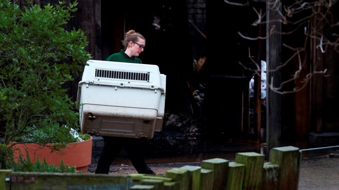 zoologico_londres_incendio
