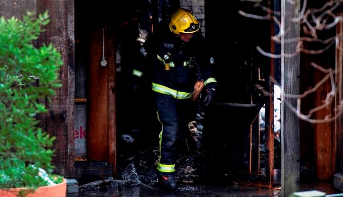 zoologico_londres_incendio