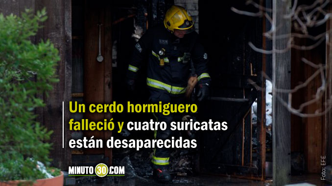 zoologico_londres_incendio