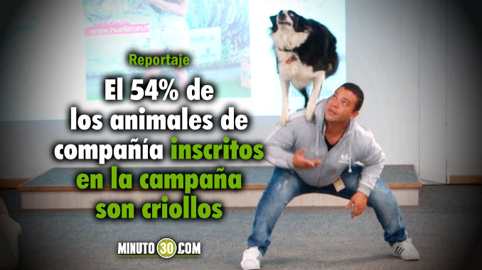 'Huellatón' cumplió la meta. Se lograron más de 20 mil registros que se convertirán en nuevos árboles