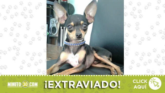 Desde-el-30-de-diciembre-buscan-a-Jhostin