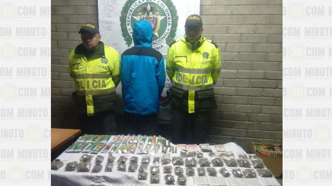 Marihuana_tipo_Cripa