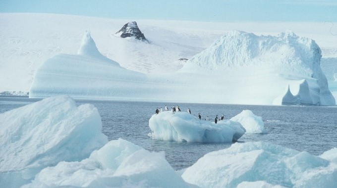 Antártida/ Cortesía Greenpeace
