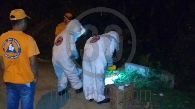 Un hombre y varios perros resultaron afectados tras ataque de abejas en Caldas