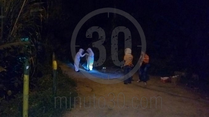 Un hombre y varios perros resultaron afectados tras ataque de abejas en Caldas