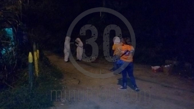 Un hombre y varios perros resultaron afectados tras ataque de abejas en Caldas